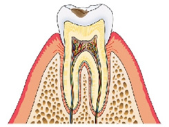 img_dental01-01