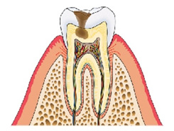 img_dental01-01